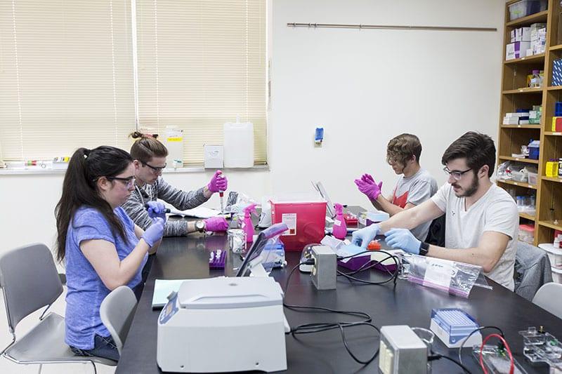 biochemistry students at Maryville University